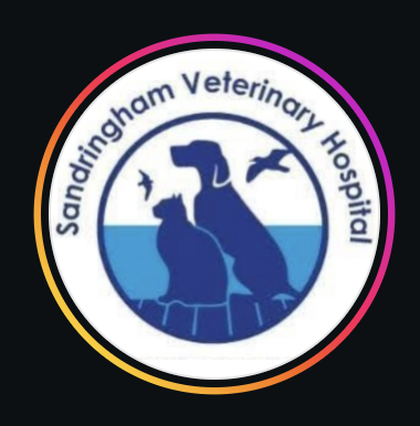 Sandringham Vet Hospital: iteration of the paw-and-wave mark from the design process